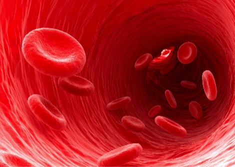 لماذا قد تكون فصيلة الدم مهمة لعدوى COVID