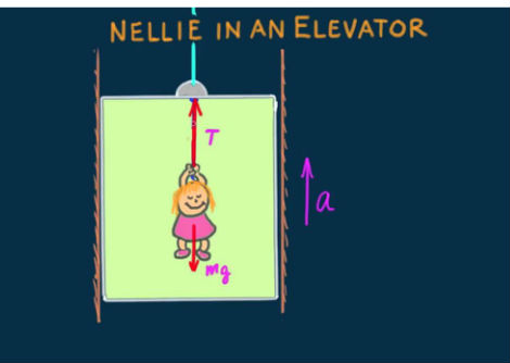 نيلي في المصعد