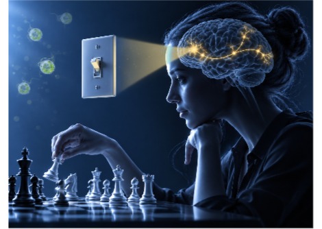  جائزة نوبل في الطب 2026 - طحالب تبحث عن الضوء منحتنا مفتاحًا للتحكم في الخلايا العصبية 