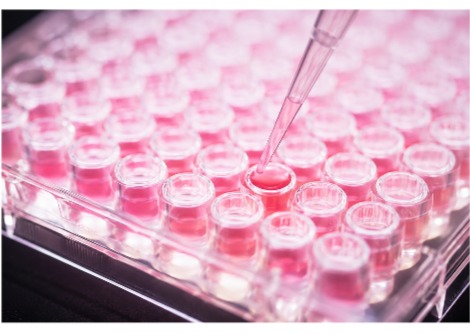  أول خلية اصطناعية في العالم ذات دورة حياة كاملة تُحقق طفرةً في علم الأحياء