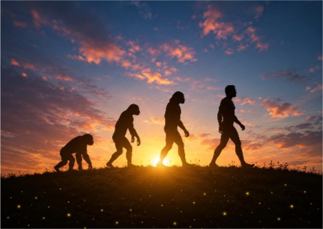  دراسة جديدة تعيد كتابة قصة ازدياد حجم جسم الإنسان