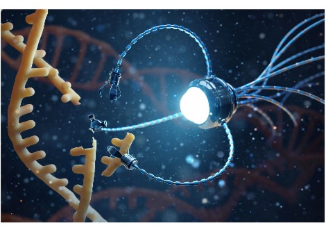 الروبوتات القائمة على الحمض النووي قادمة: آلات متناهية الصغر قادرة على إحداث ثورة في الطب والتكنولوجيا